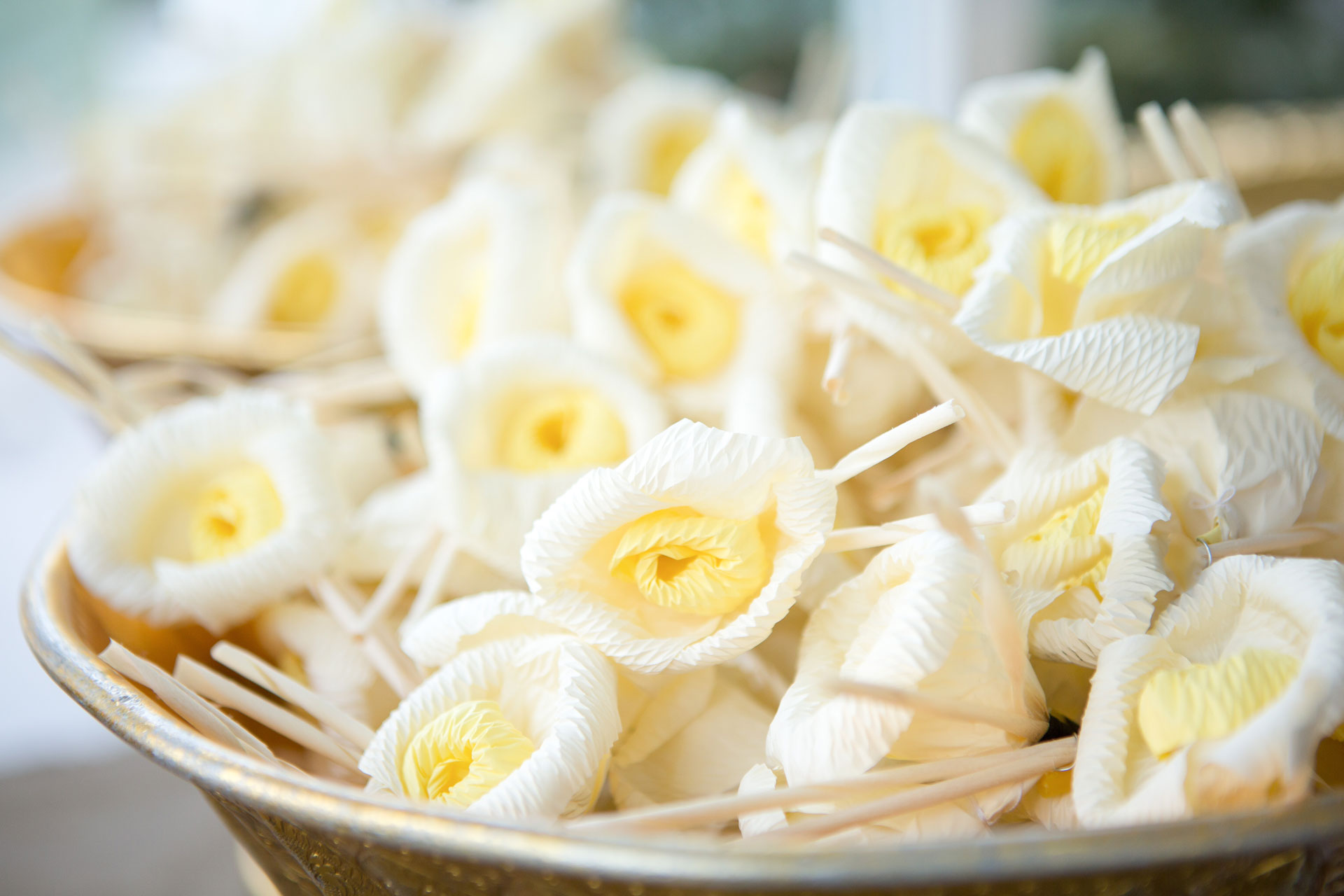 ดอกไม้จันทน์